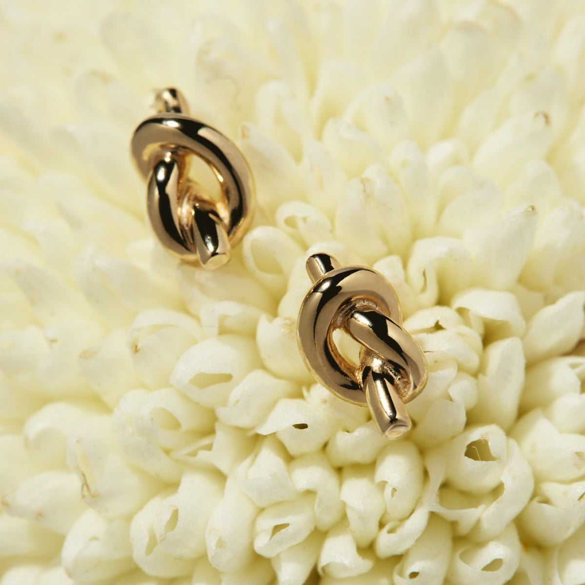 Nature’s Knot Stud Earrings