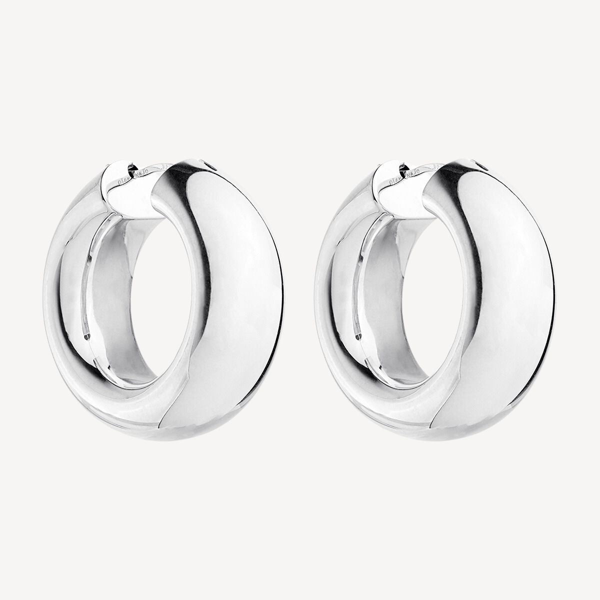 Sterling Silver Panorama Hoop Earrings
