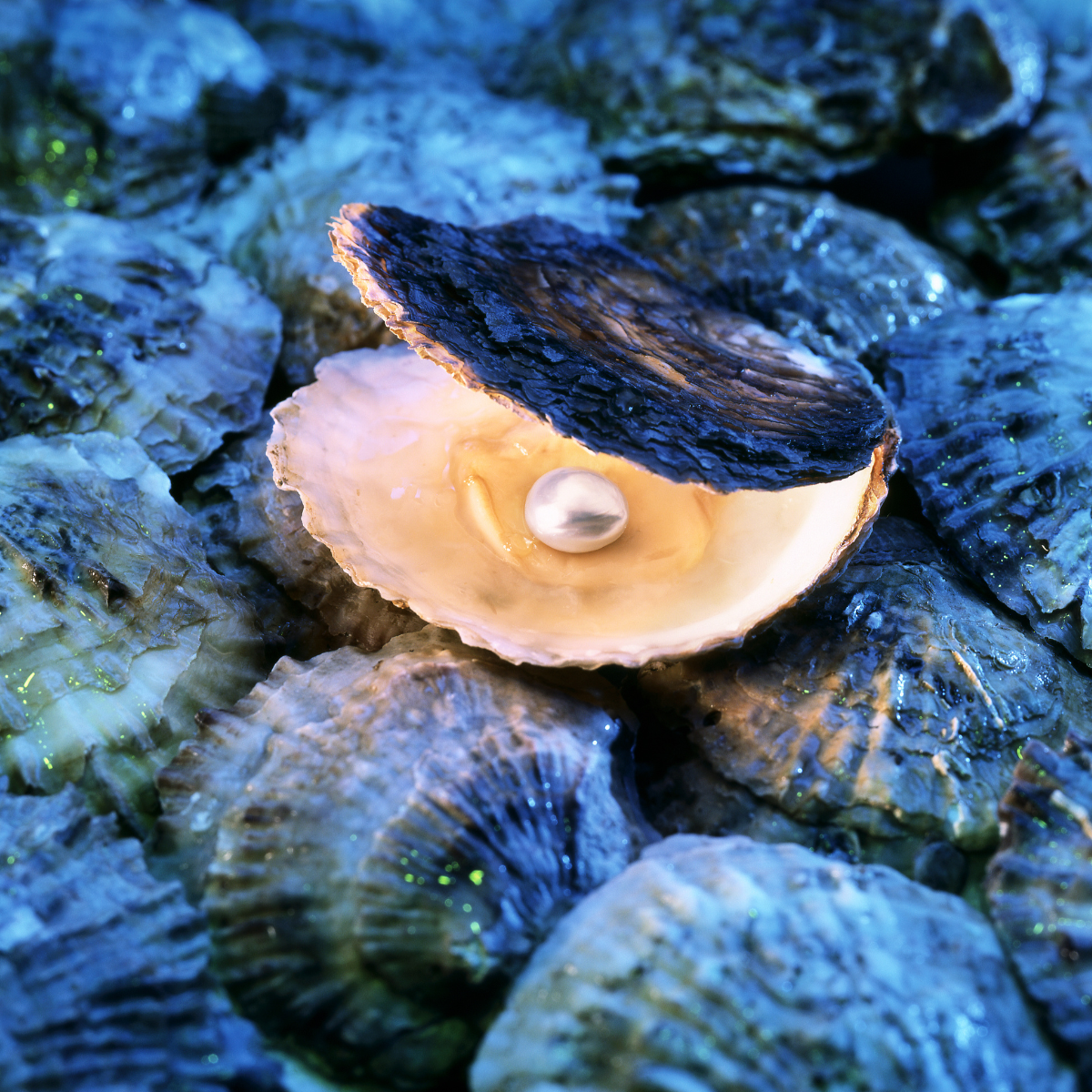 Trend Alert : Pearls