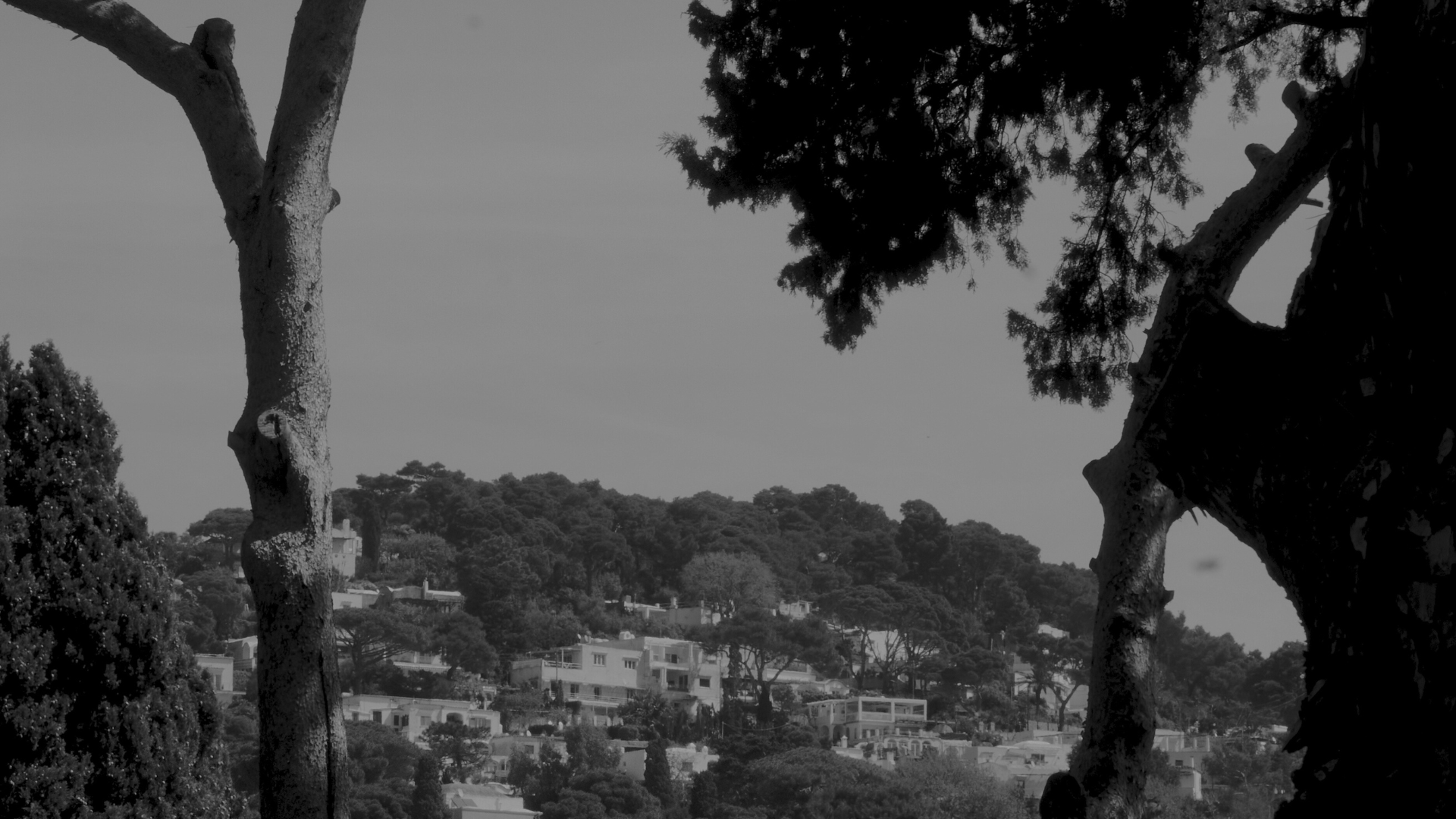 Archive Sale Earrings