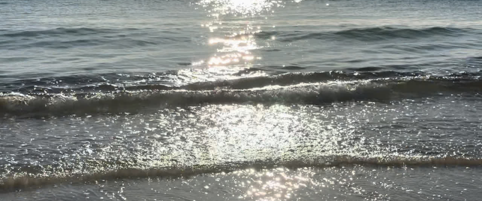 Summer Sale Earrings