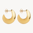 Umbra Earrings