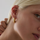 Umbra Earrings